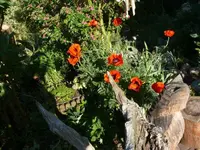 P1060243_600_450.webp