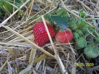 100_1757.webp
