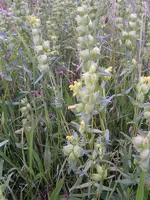 090527_0024_0001.webp