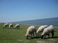Urlaub 2008 19.webp