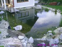 PIC00009.webp