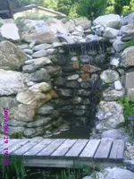 PIC00010.webp