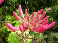 30.05.09.webp