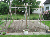IMG_1727.webp