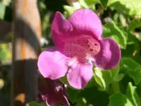 PICT0034.webp