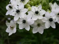 PICT0117.webp