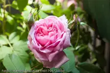 IMG_7547.webp