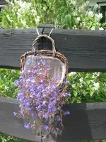 IMG_6424.webp