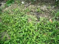 CIMG4961.webp