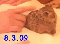 08.03.09-1.webp
