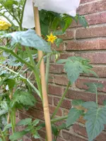 DSCN6525.webp