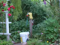 ein specht im garten02.webp