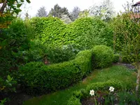 26.04.09 Garten 010.webp