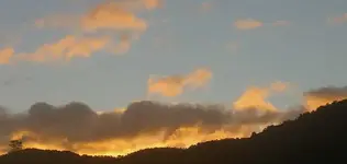 Herbst 2009 731.webp