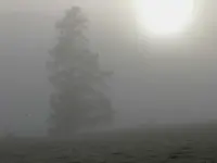 Herbst 621.webp