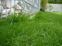 P1020593 klein.webp