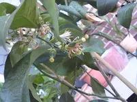DSC00331.webp