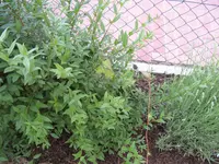 IMG_2009_Bildgröße ändern.webp