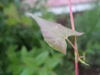 IMG_2011_Bildgröße ändern.webp