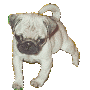 icon_wedel02.gif
