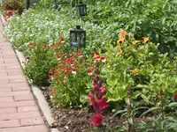 Garten 1.6.09 004.webp
