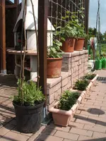 Garten 1.6.09 009.webp