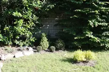 IMG_0724  1.webp