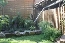 IMG_0728  1.webp