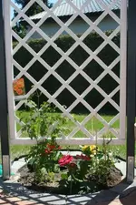 linkes Rankgitter_klein.webp