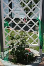 rechtes Rankgitter_klein.webp