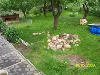 100_1760.webp