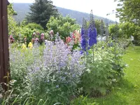 Garten Juni 010.webp
