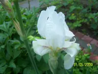 100_1770.webp