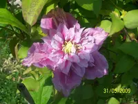 100_1768.webp