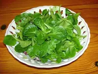 Feldsalat.webp