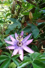 DSC04695.webp