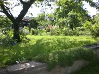Garten Juni1 002.webp