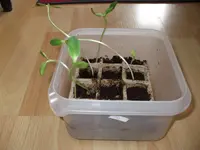 DSCF9046.webp