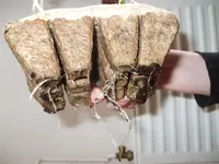 DSCF9047.webp