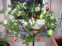IMGP0172.webp