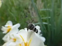 P1020446.webp