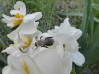 P1020442.webp