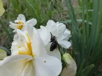 P1020441.webp