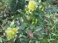 002.webp