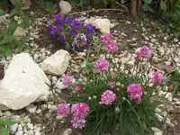 HPIM0348.webp