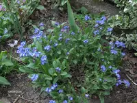 HPIM0350.webp
