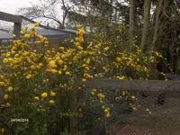 HPIM0352.webp