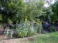 südlicherRechterZaun.webp