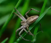 1.5.8.webp