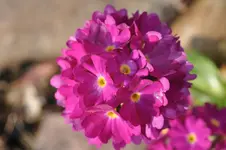 DSC_1465.webp